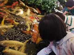 -聚福宝合苑食府(南头镇店)