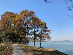 -渤公岛生态公园
