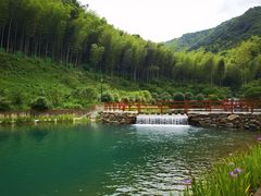 -龙坞茶村