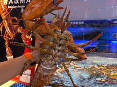 -驻海渔市(置信店)