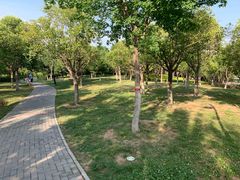 -洨河生态公园