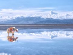 -青海湖国家重点风景名胜区