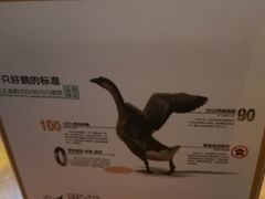 -优之名鹅城