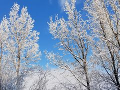 -太子岭滑雪场