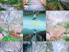 -中国茶叶博物馆(双峰馆区)