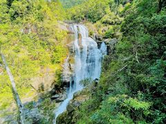 -海南热带雨林国家公园吊罗山景区