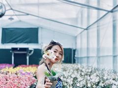 -万顷园艺世界