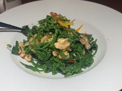 -三强鸽子(胜利路店)