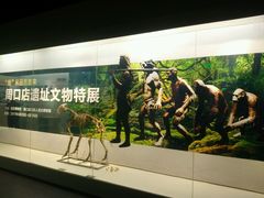 -嘉定博物馆