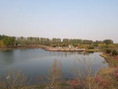 -东郊湿地公园