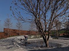 -福建鲤鱼洲酒店