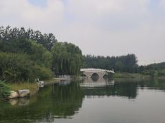 -大兴滨河森林公园