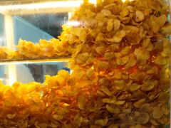 -街街旺风味炸洋芋(大观商业城C座店)