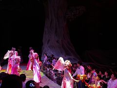 -广州长隆国际大马戏