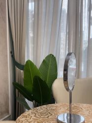 -美莱医疗美容医院