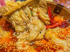 -阳阳老火锅(小南门店)