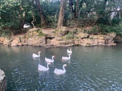 -兰亭风景区