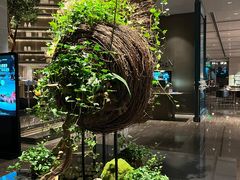 -博林天瑞喜来登酒店·西丽尚膳