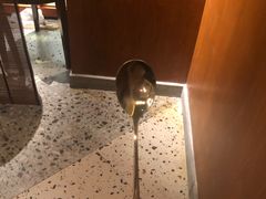 -二丁目食堂(铁西万象汇店)