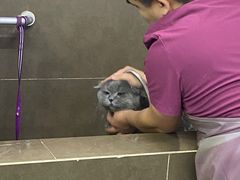 -美联众合动物医院(唯恩分院)