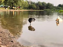 -太阳宫公园