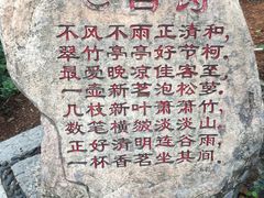 -狐尾山公园