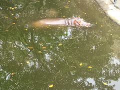 -泉州海丝野生动物世界