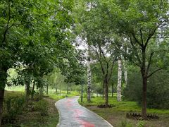 -莲花池公园