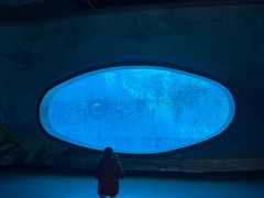 -海合安成都极地海洋公园