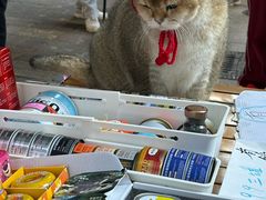 -小半有礼(天河南店)