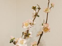 -大鹏饭店·金陵家宴(奥体中心店)