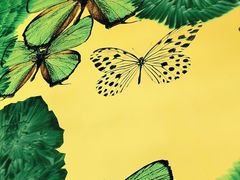 -蝴蝶里·粤菜·点心(龙湖杭州金沙天街店)