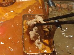 -海底捞火锅(奥体南路店)