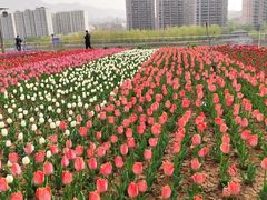 -刘家峡水库