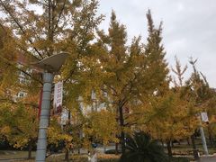 -中国计量大学(西校区)