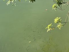 -龙门水都景区
