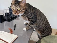 -福驎咖啡FURNING CAFE(固戍华丰店)