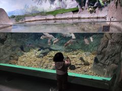 -常州海昌海洋探索馆