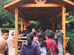 -山王坪喀斯特国家生态公园