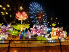 -淄博花灯齐彩城
