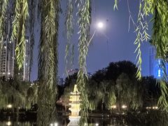 -木塔寺遗址生态公园