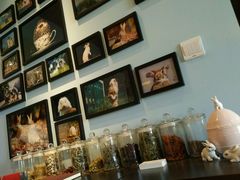 -藦茜花园宠物主题亲子互动体验馆(国顺东路店)