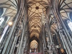 -斯蒂芬主教座堂(Stephansdom)