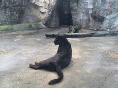-南昌动物园