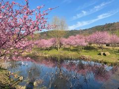 -石塘人家