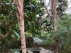 -龙达温泉生态城