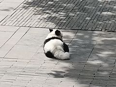 -黔灵山公园