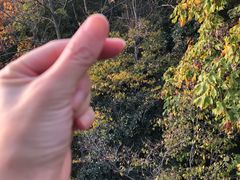 -紫金山索道-售票处