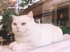 -彳亍咖啡·这里(水湾路店)