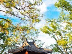 -江心屿景区